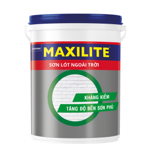 Lót Maxilite Ngoài